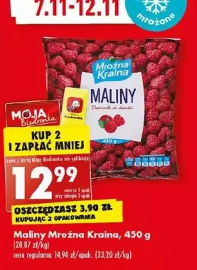 Biedronka Maliny mrożone mroźna kraina oferta