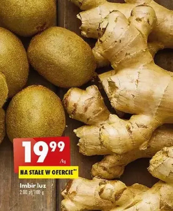 Biedronka Imbir oferta