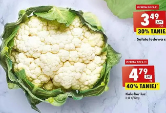 Biedronka Kalafior oferta