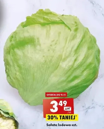 Biedronka Sałata lodowa oferta