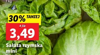 Lidl Sałatka rzymska mini oferta
