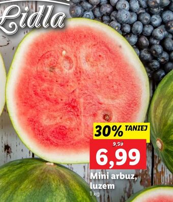 Lidl Arbuz mini oferta