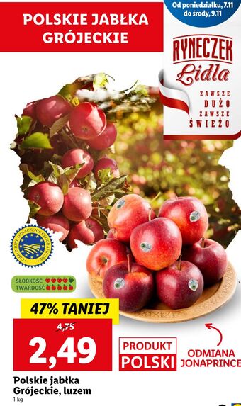Lidl Jabłka grójeckie oferta