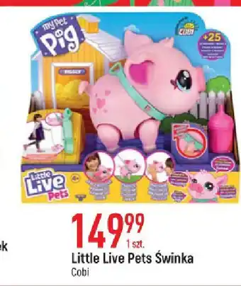 E.Leclerc Little live pets - świnka cobi oferta