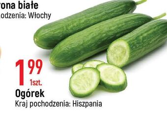 E.Leclerc Ogórek oferta