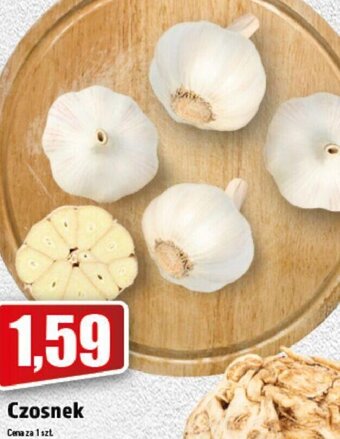Topaz Czosnek oferta