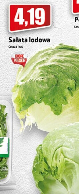 Topaz Sałata lodowa oferta