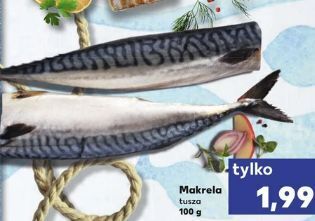 Kaufland Makrela tusza oferta
