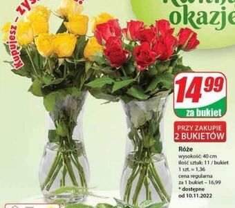 Dino Róża 40 cm oferta