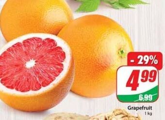 Dino Grapefruit czerwony oferta