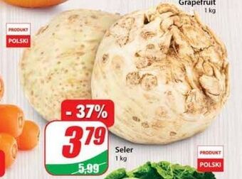Dino Seler oferta