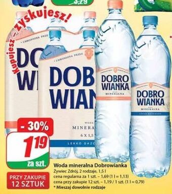 Dino Woda niegazowana dobrowianka oferta
