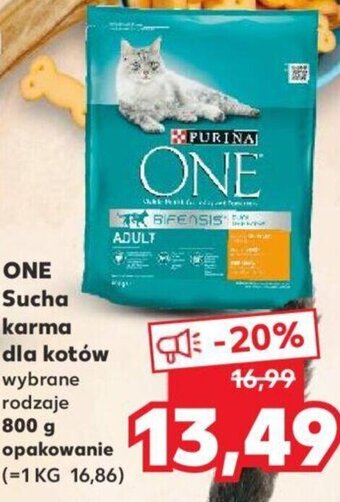 Kaufland ONE Sucha karma dla kotów 800g oferta
