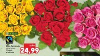 Kaufland Róże fairtrade oferta