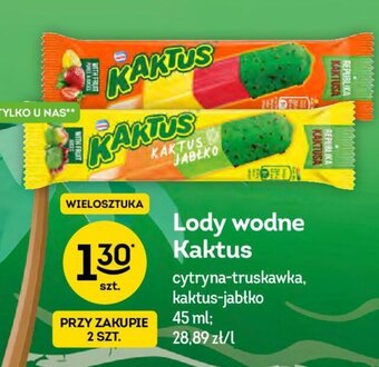 Żabka Lody wodne Kaktus 45ml oferta