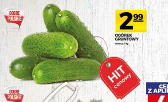 Topaz Ogórek gruntowy 1kg oferta