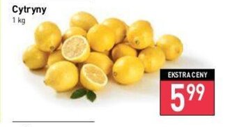 Stokrotka Cytryny 1kg oferta