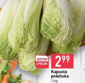 Stokrotka Kapusta pekińska 1 kg oferta