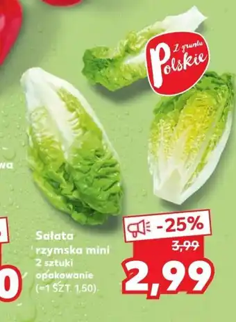 Sałatka rzymska mini 2szt.