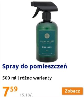 Action Spray do pomieszczeń 500ml/ różne warianty oferta