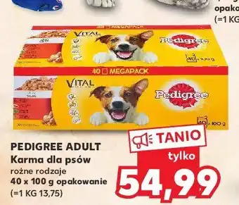 Kaufland Karma dla psa adult wołowina 1 OPAK 40 SZT 100 G oferta