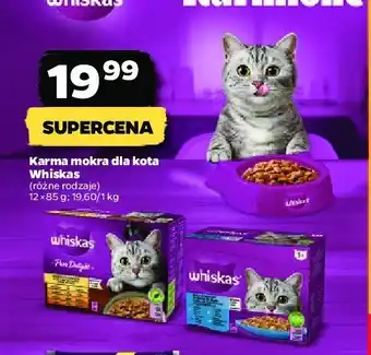 Kaufland Karma dla kota smaki rybne i tradycyjne w galaretce 1 OPAK 40 SZT 100 G oferta