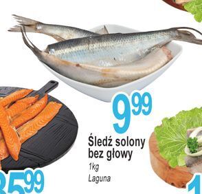 E.Leclerc Śledź solony bez głowy laguna oferta