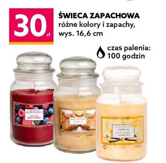 Dealz Świeca zapachowa w szkle owoce leśne oferta