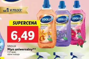 Lidl Płyn do mycia dzika róża sidolux uniwersalny oferta