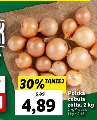 Lidl Cebula żółta oferta