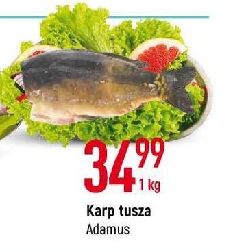E.Leclerc Karp tusza adamus oferta