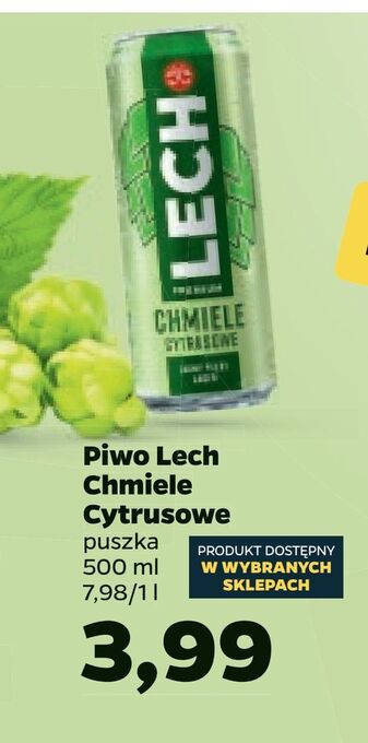 Netto Piwo lech chmiele cytrusowe oferta
