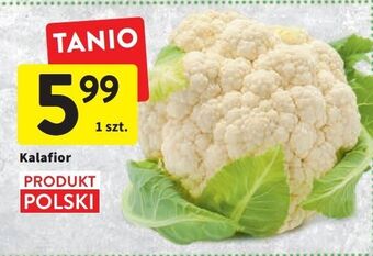 Intermarche Kalafior oferta