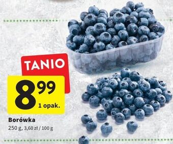 Intermarche Borówka oferta