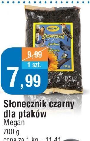 E.Leclerc Słonecznik czarny megan oferta