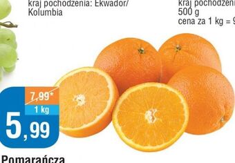 E.Leclerc Pomarańcze oferta