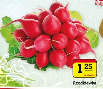Gram Market rzodkiewka pęczek oferta