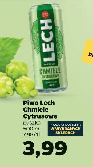 Netto Piwo lech premium chmiele cytrusowe oferta