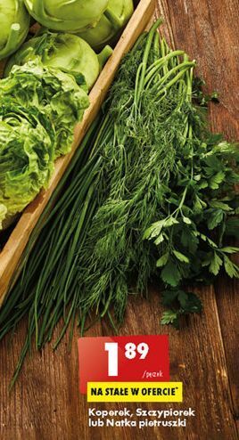 Biedronka Szczypiorek oferta