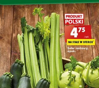 Biedronka Seler naciowy oferta