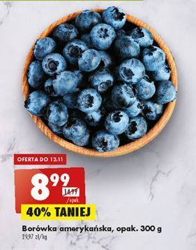 Biedronka Borówka amerykańska oferta
