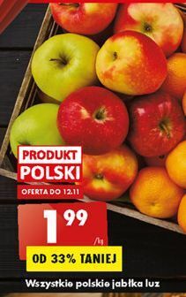 Biedronka Jabłka oferta