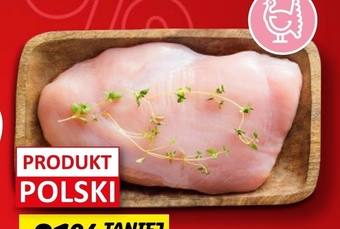 Lidl Filet z piersi indyka rzeźnik oferta