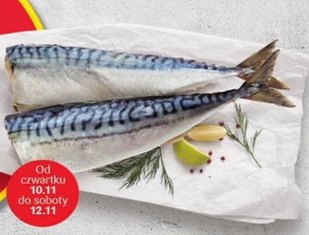 Delikatesy Centrum Makrela wędzona oferta