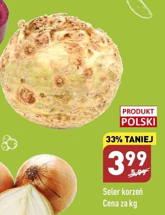 ALDI Seler korzeń oferta