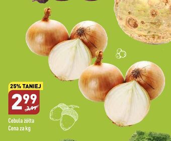 ALDI Cebula żółta oferta