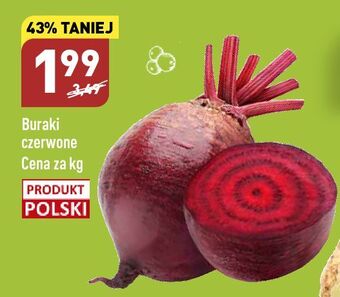 ALDI Buraki czerwone oferta