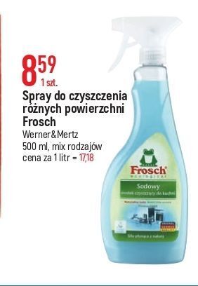 E.Leclerc Środek sodowy do czyszczenia kuchni frosch oferta