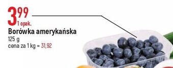 E.Leclerc Borówka amerykańska oferta