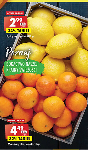 Biedronka mandarynka, opak. 1kg oferta